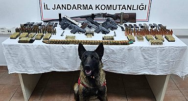 Arı kovanlarından kaçak silah çıktı: 2 gözaltı