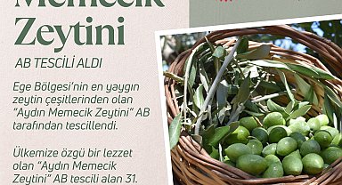 Aydın Memecik Zeytini'ne AB tescili