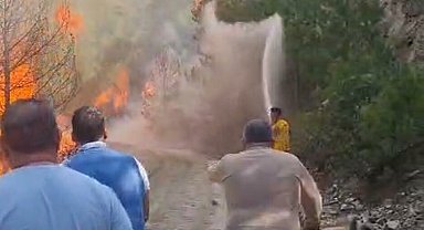 Aydın'da orman yangını