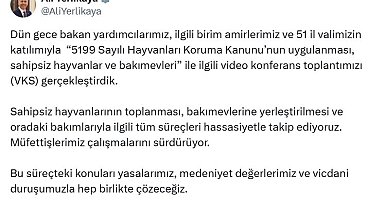 Bakan Yerlikaya: Sahipsiz hayvanların toplanmasıyla ilgili süreçleri hassasiyetle takip ediyoruz
