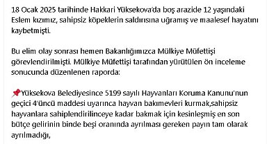 Bakan Yerlikaya: Yüksekova Belediye Başkanı hakkında soruşturma izni verildi