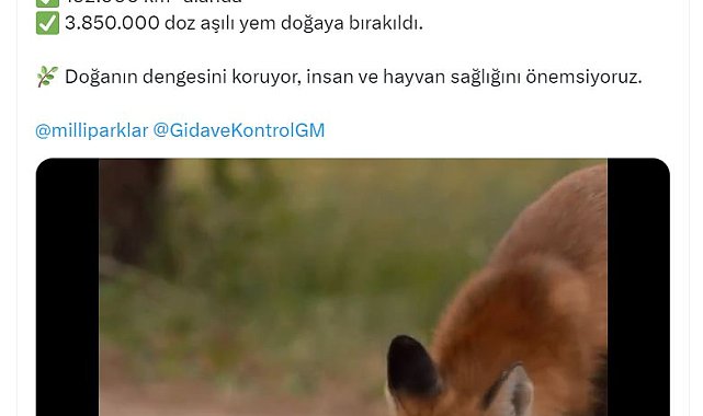 Bakan Yumaklı: 2024'te doğaya 3 milyon 850 bin doz aşılı yem bırakıldı