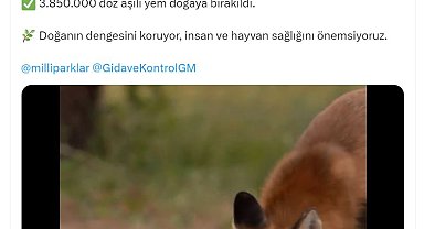 Bakan Yumaklı: 2024'te doğaya 3 milyon 850 bin doz aşılı yem bırakıldı