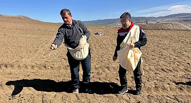 Bakan Yumaklı, Kastamonu'da sarımsak ekimine katıldı