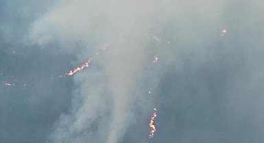 Balıkesir'de orman yangını