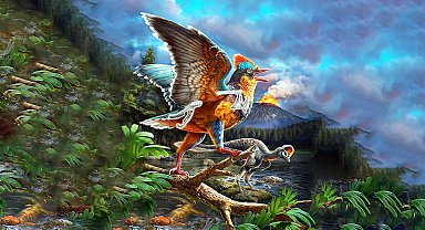 Bilim insanları en eski kuşlardan birini ortaya çıkardı