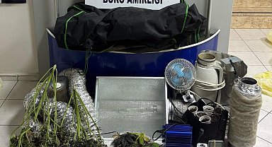 Binanın kapıcı dairesi uyuşturucu yetiştiren 2 şüpheli yakalandı