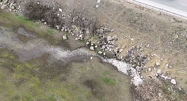 Bursa Ovası'nın besleyen barajda toplu balık ölümü