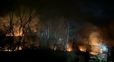 Bursa'da çalılıkta çıkan yangın, söndürüldü