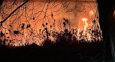 Bursa'da İznik Gölü kıyısında sazlık yangını