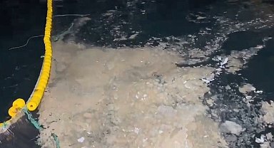 Çanakkale'de bazı balıkçılar, müsilaj nedeniyle av sezonunu erken kapattı