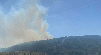 Çanakkale'de orman yangını