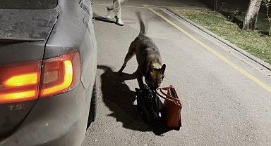 Çantalardaki uyuşturucuyu 'Mailo' buldu