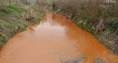 Derenin rengi kırmızıya döndü