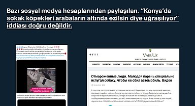 DMM: 'Sokak köpekleri ezilsin diye uğraşılıyor' iddiası doğru değildir