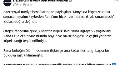 DMM'den köpek saldırısında ölen Rana'ya ilişkin açıklama
