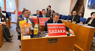 Emekli bayram ikramiyesi teklifi, Plan ve Bütçe Komisyonu'nda