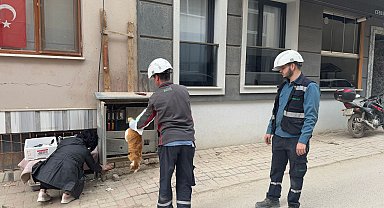 Erdek'te trafoya giren kedi öldü; bölgede kısa süreli elektrik kesintisi yaşandı