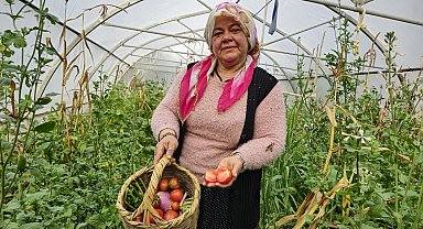 Eşi kaza geçirince çiftçiliğe başladı, hem çocuklarını büyüttü hem de evi geçindiriyor