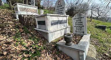 Evcil hayvanlar için 2 bin 500 liraya özel mezar yeri; papağan da gömüldü tavşan da