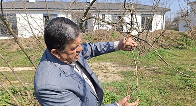 Fındık üreticisine 'don' uyarısı