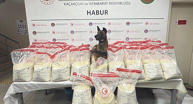 Gümrük muhafaza ekipleri, 2 ayda 8,1 milyar liralık ticari eşya ve uyuşturucu ele geçirdi