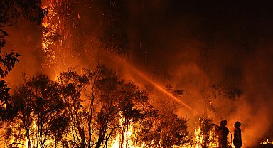 Güney Kore'de orman yangınlarında hayatını kaybedenlerin sayısı 18'e yükseldi