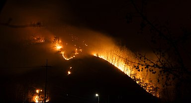 Güney Kore'deki orman yangınları kontrol altına alındı