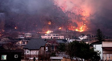Güney Kore'deki orman yangınlarında hayatını kaybedenlerin sayısı 26'ya yükseldi