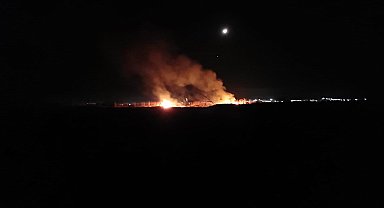 Hatay'da sazlık yangını