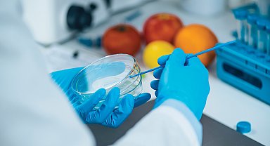 İngiltere, laboratuvar üretimi gıdaların satışını iki yıl içinde onaylamayı planlıyor