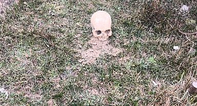 İstanbul - Arnavutköy'de insana ait kafatası bulundu; ekipler harekete geçti