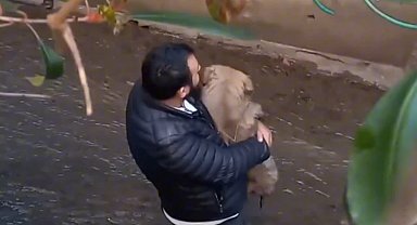 İstanbul - Ataşehir'de köpeğini kurtarmak isterken derede mahsur kaldı