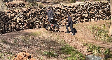 İstanbul - Belgrad Ormanı'nda kaybolan Ece Gürel'in akrabası: 4-5 avukatla aynı odaya sokmuşlar nasıl bir psikolojiye maruz kaldı bilemiyoruz