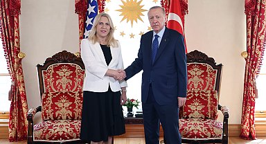 İstanbul- Cumhurbaşkanı Erdoğan, Bosna Hersek Devlet Başkanlığı Konseyi Başkanı Jelka Sviyanovic ile görüştü
