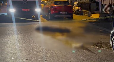 İstanbul- Kadıköy'de çöp kamyonunun ezdiği emekli öğretmen hayatını kaybetti
