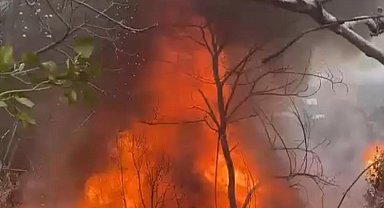 İstanbul-Sarıyer'de metruk kulübe alev alev yandı; yeşillik alana sıçrayan yangın söndürüldü