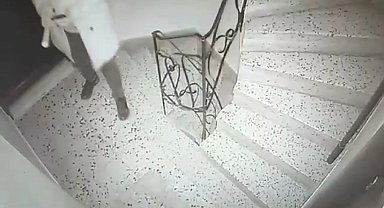 İstanbul- Zeytinburnu'nda komşusuyla davalık oldu; kapısına mermi bırakıp tehdit ettiler