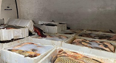 Kaçak balık avlayan 2 kişiye 75 bin lira ceza