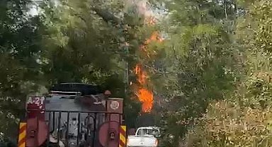 Kahramanmaraş'ta ormanlık alanda çıkan yangın söndürüldü