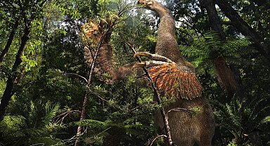 Kanada'da bilim insanları, 'iki parmaklı yeni dinozor türü' keşfetti