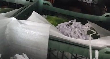 Karpuz yüklü TIR'ın dorsesinden 3 kaçak göçmen çıktı