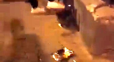 Köpek gezdirirken sokak kedisini tekmeleyen şüpheli tutuklandı