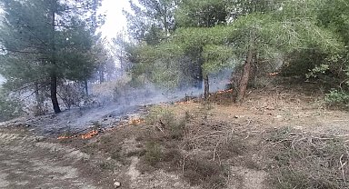 Manisa'da 1 hektar orman yandı