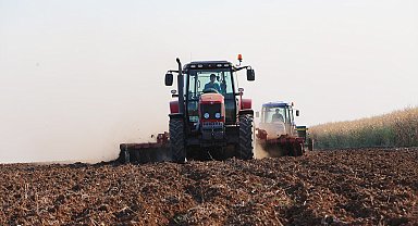 Mardin'de 3 milyon dönüm alana buğday ekildi