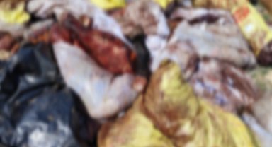 Mardin'de at ve eşek kesen şüpheli yakalandı