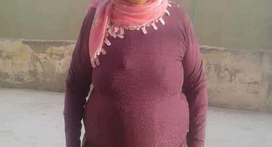 Mardin'de otomobilin çarptığı kadın öldü