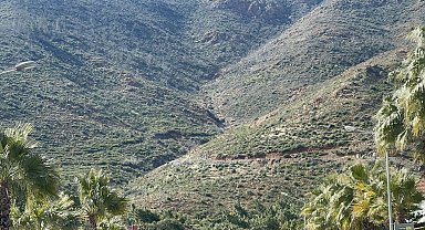 Marmaris'te yanan ormanlarda fidanlar boy verdi