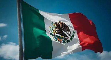 Meksika'da otobüs devrildi: 18 ölü, 29 yaralı