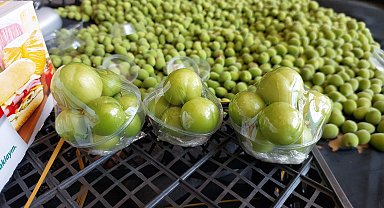 Mersin'de hasat edilen ilk erikler, kilosu 2 bin 250 TL'den Dubai ve Katar'a gönderildi